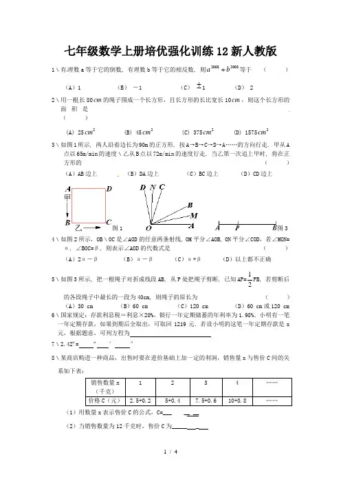 七年级数学上册培优强化训练12新人教版