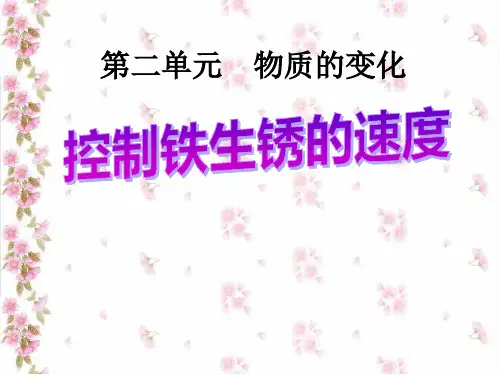六年级科学下册课件-2.7控制铁生锈的速度242-教科版