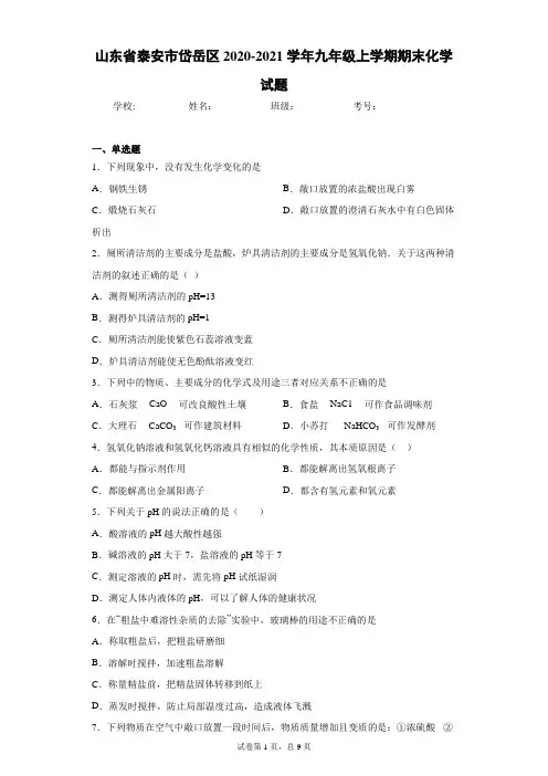 山东省泰安市岱岳区2020-2021学年九年级上学期期末化学试题(word版含答案)