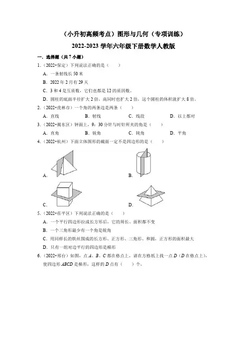(小升初高频考点)图形与几何(专项训练)2022-2023学年六年级下册数学人教版(含答案)