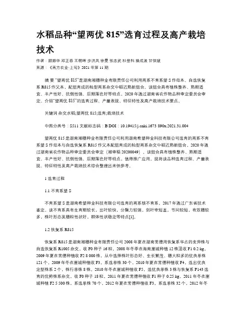 水稻品种“望两优815”选育过程及高产栽培技术