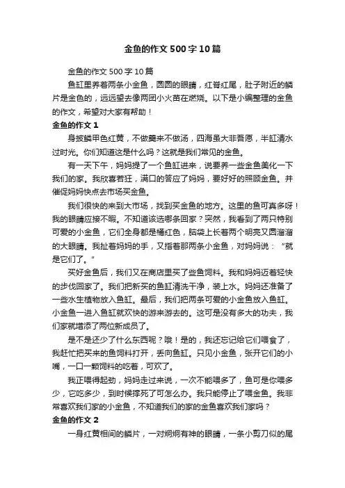 金鱼的作文500字10篇