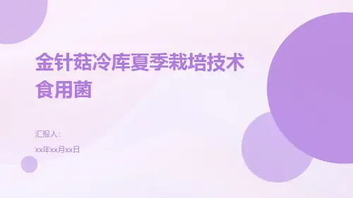 金针菇冷库夏季栽培技术食用菌