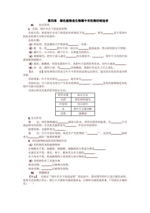 最新人教版七年级生物上册第四章 绿色植物是生物圈中有机物的制造者 试题及答案