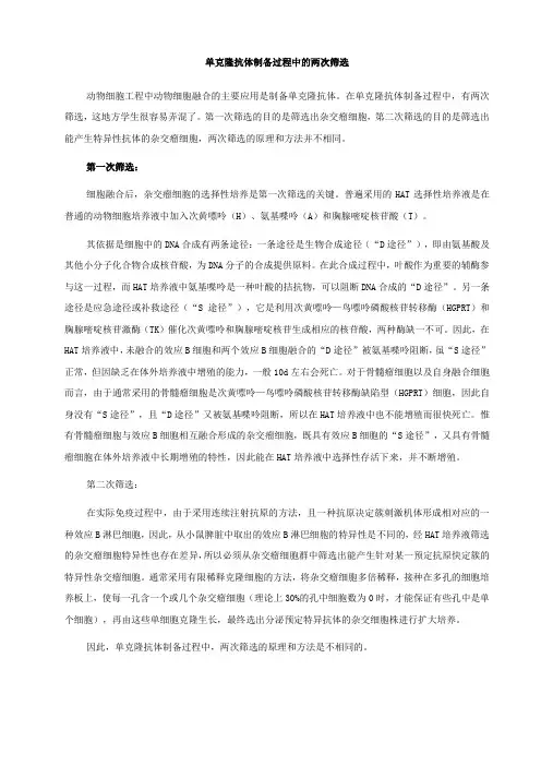 单克隆抗体制备过程中的两次筛选
