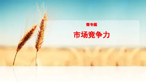 高三地理微专题：市场竞争力