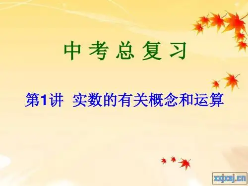 第1讲 实数的概念和运算