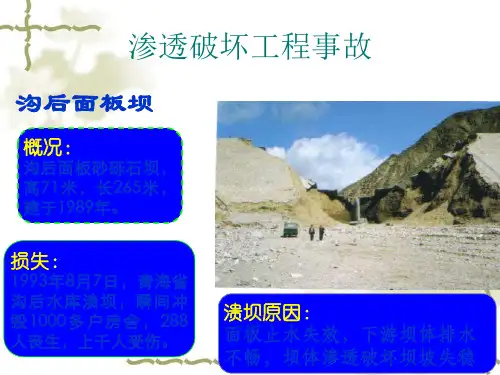 土的渗透变形和防治措施.