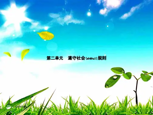 八年级道德与法治 第二单元 遵守社会规则 第三课 社会生活离不开规则 第1框 遵守社会规则 