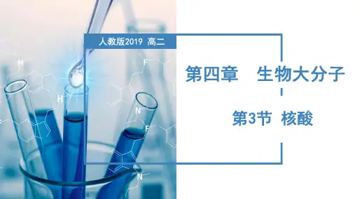 4.3核酸(课件)高二化学(人教版2019选择性必修3)