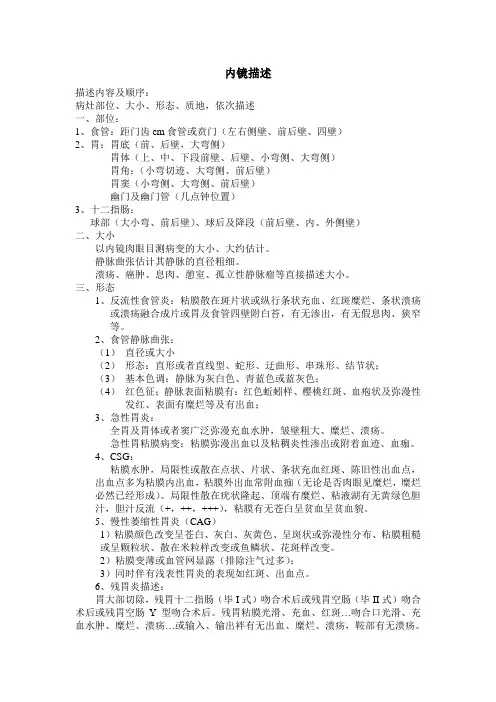 胃镜描述(全面、详细、精确)