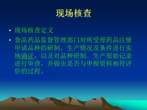 药品注册现场核查药品注册处
