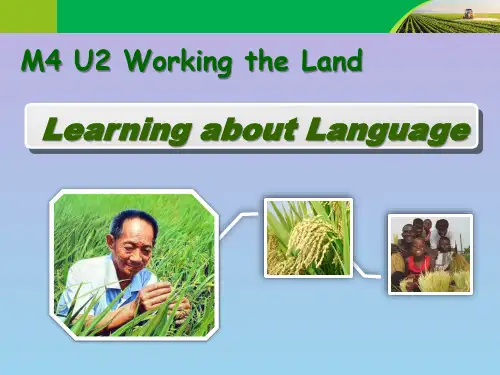 人教版高中英语必修四Unit2learning about Language 课件(二)