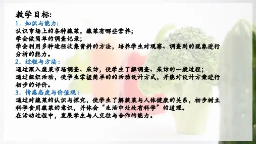 最新2019年小学综合实践活动课《我与蔬菜交朋友》PPT2