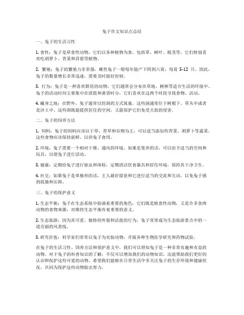 兔子作文知识点总结