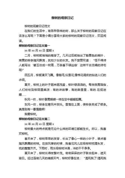 柳树的观察日记