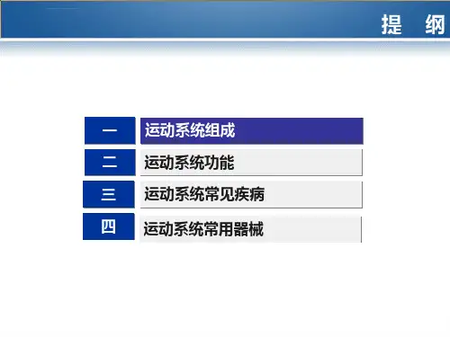 运动系统课件ppt