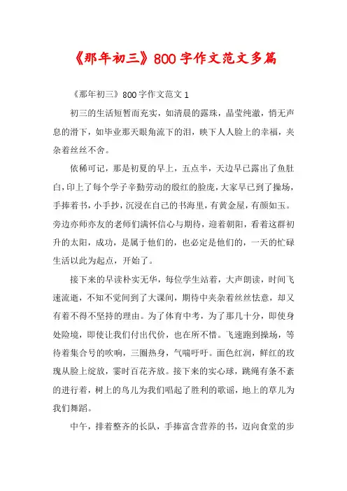 《那年初三》800字作文范文多篇