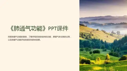 《肺通气功能》课件