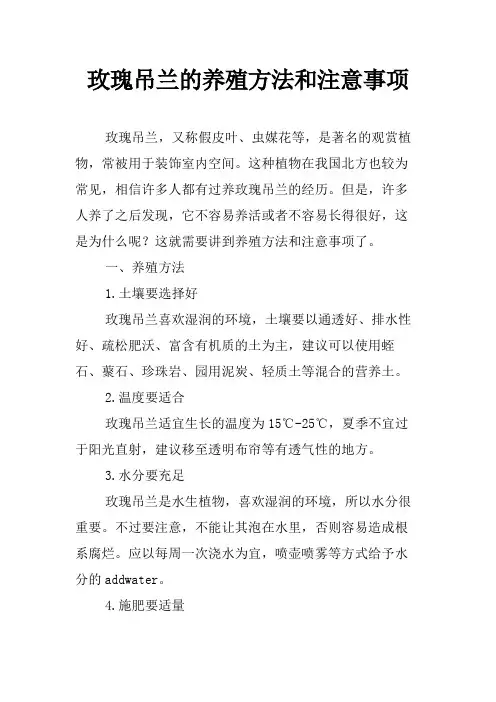 玫瑰吊兰的养殖方法和注意事项