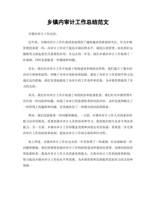 乡镇内审计工作总结范文