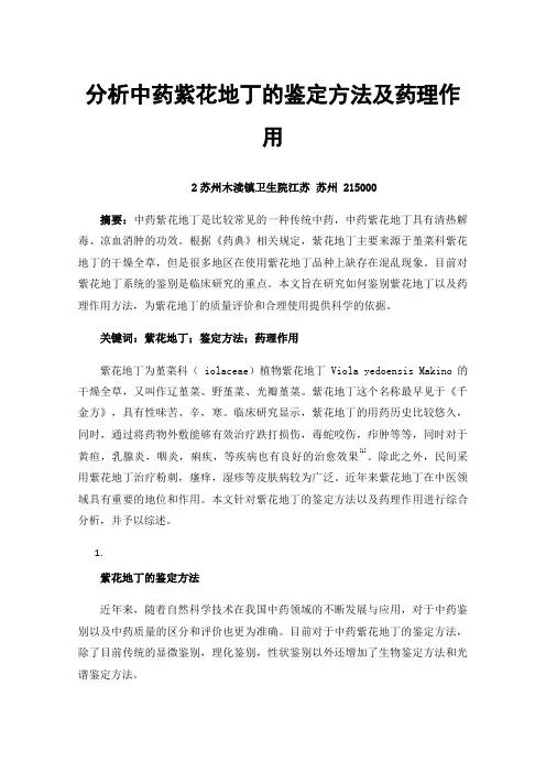 分析中药紫花地丁的鉴定方法及药理作用