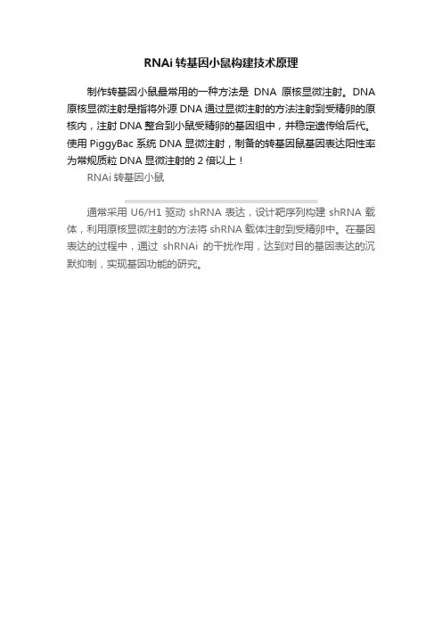 RNAi转基因小鼠构建技术原理