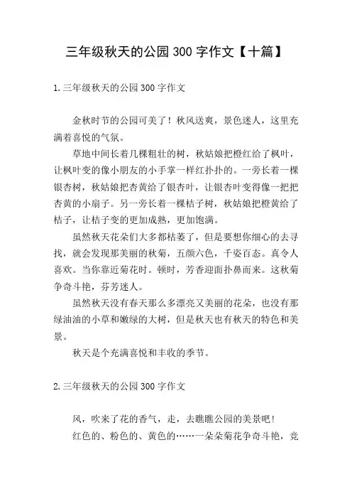 三年级秋天的公园300字作文【十篇】
