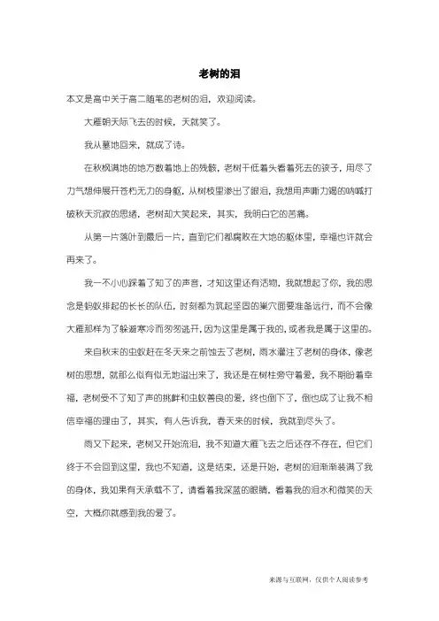 高二随笔：老树的泪
