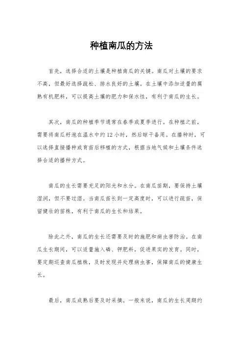种植南瓜的方法