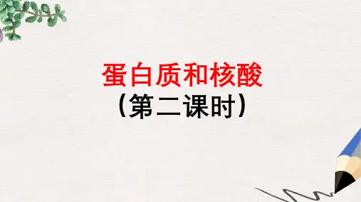 高中化学第四章生命中的基础有机化学物质4.3.2蛋白质和核酸课件新人教版选修5