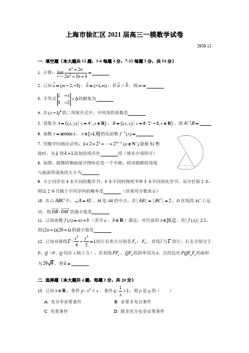 2021届上海市徐汇区高三一模数学Word版(附简析)