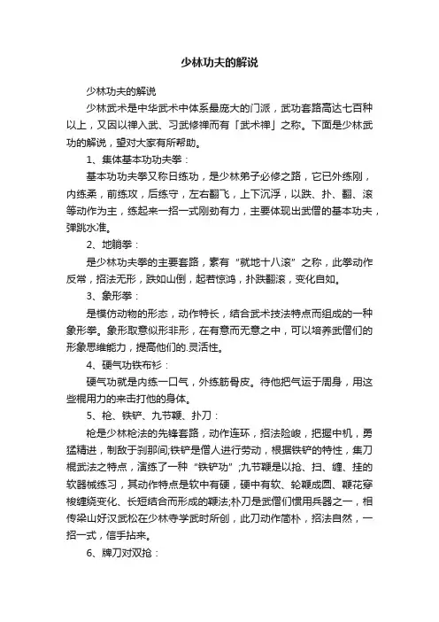 少林功夫的解说
