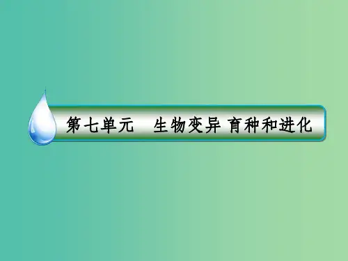 高考生物一轮复习 第七单元 生物变异 育种和进化 第24讲 生物的进化