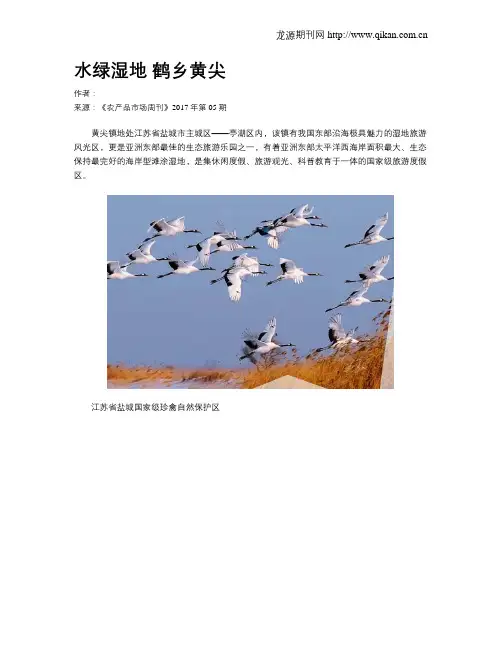 水绿湿地 鹤乡黄尖