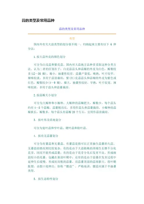 蒜的类型及常用品种