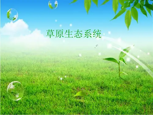 草原生态系统ppt
