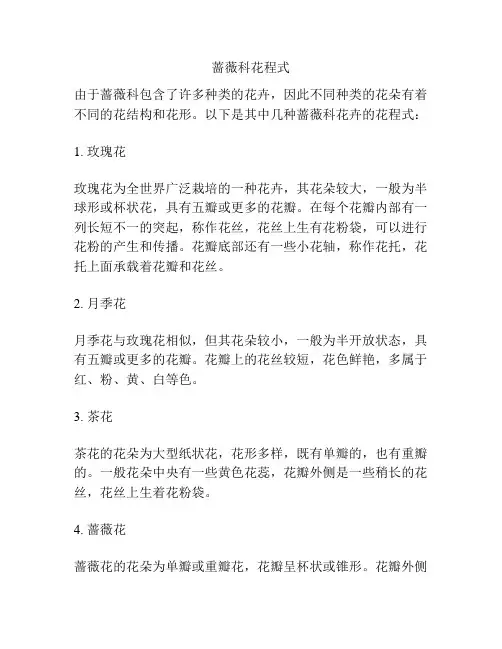 蔷薇科花程式