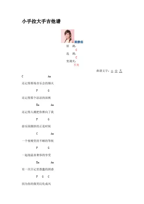 小手拉大手吉他谱3
