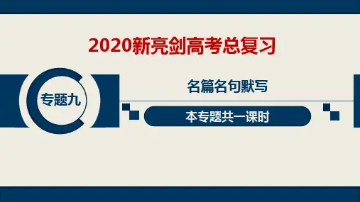 20语文新亮剑PPT专题9“课堂精讲“