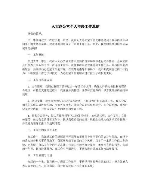 人大办公室个人年终工作总结