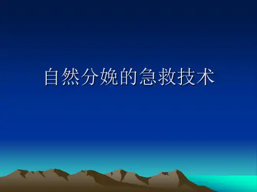 自然分娩 PPT课件