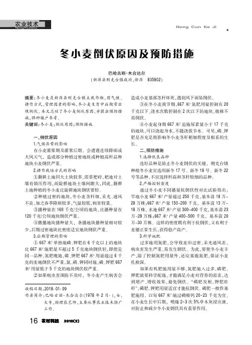 冬小麦倒伏原因及预防措施