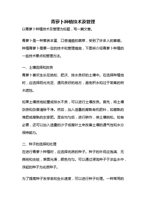 青萝卜种植技术及管理