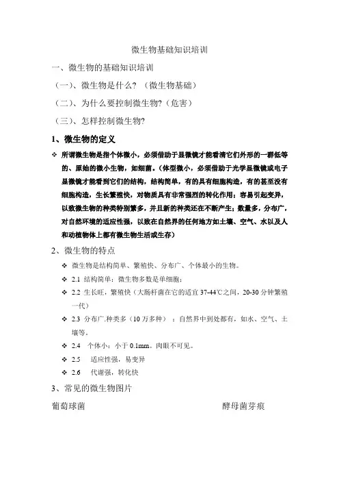 微生物知识培训