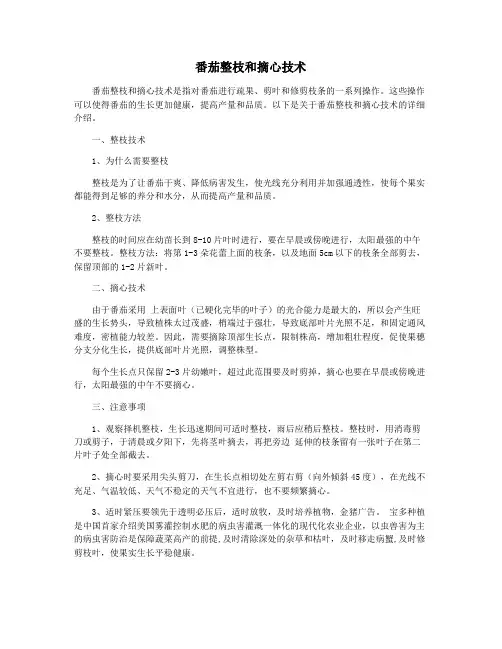 番茄整枝和摘心技术