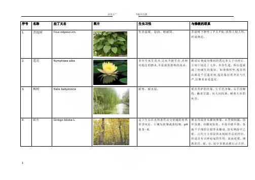 与佛教有关的植物