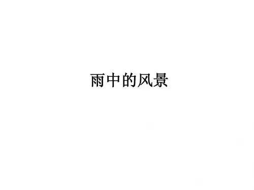 雨中的风景