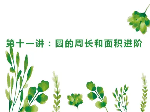 人教版六年级上册数学圆的周长和面积进阶课件(共25张PPT)