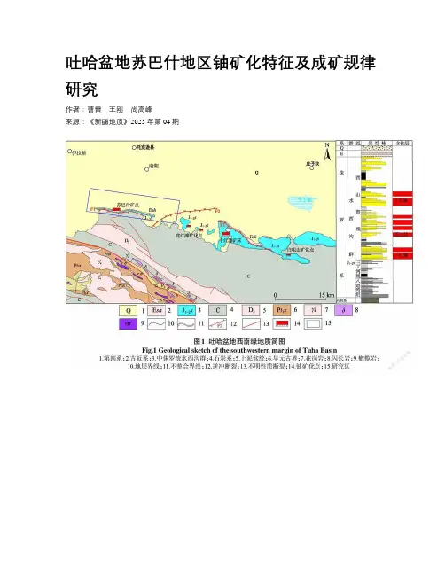 吐哈盆地苏巴什地区铀矿化特征及成矿规律研究